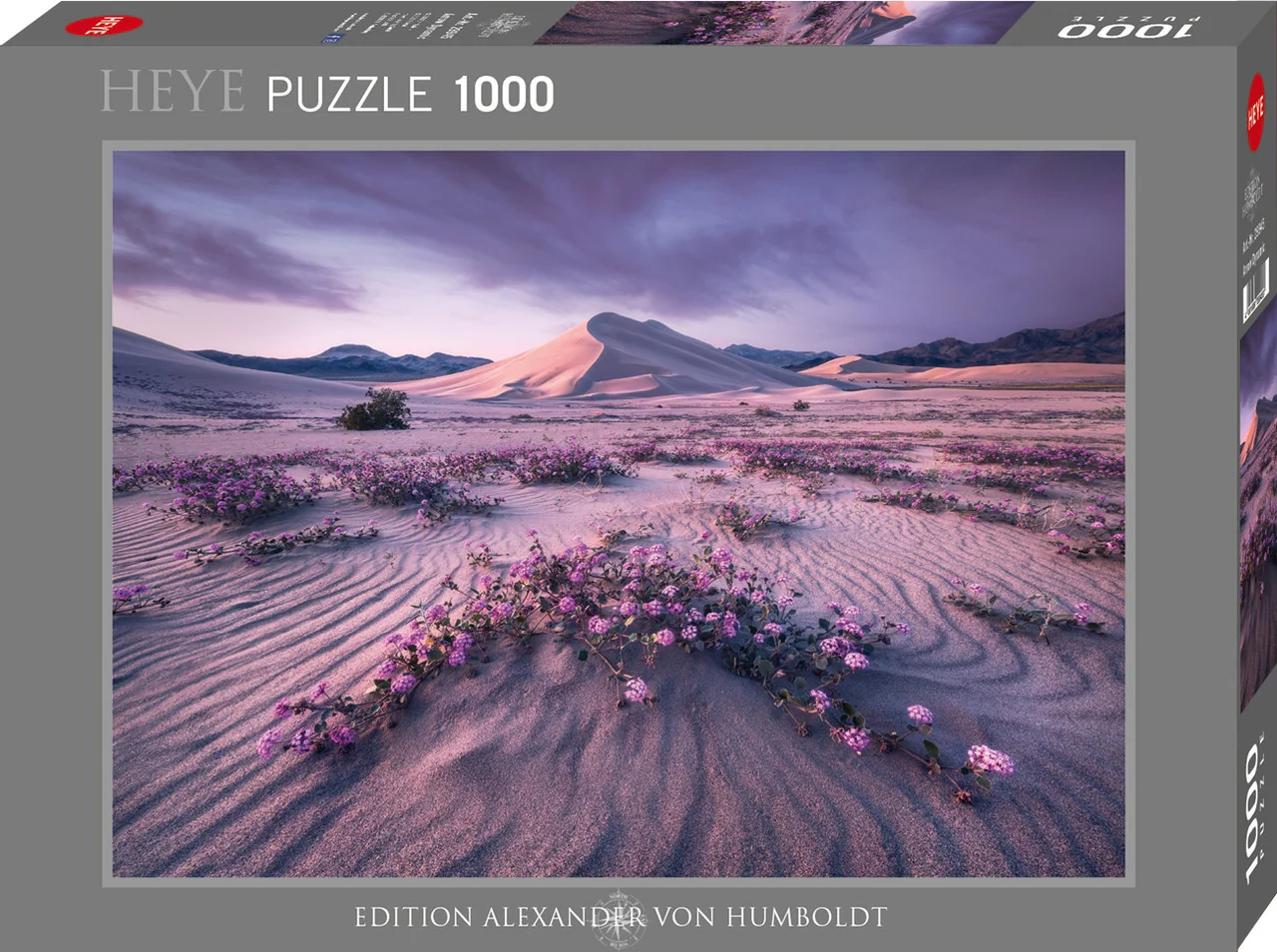 105-heye-von-humbold-arrow-dynamic-1000-piece-jigsaw-1.webp Heye - Von Humbold Arrow Dynamic 1000 Piece Jigsaw