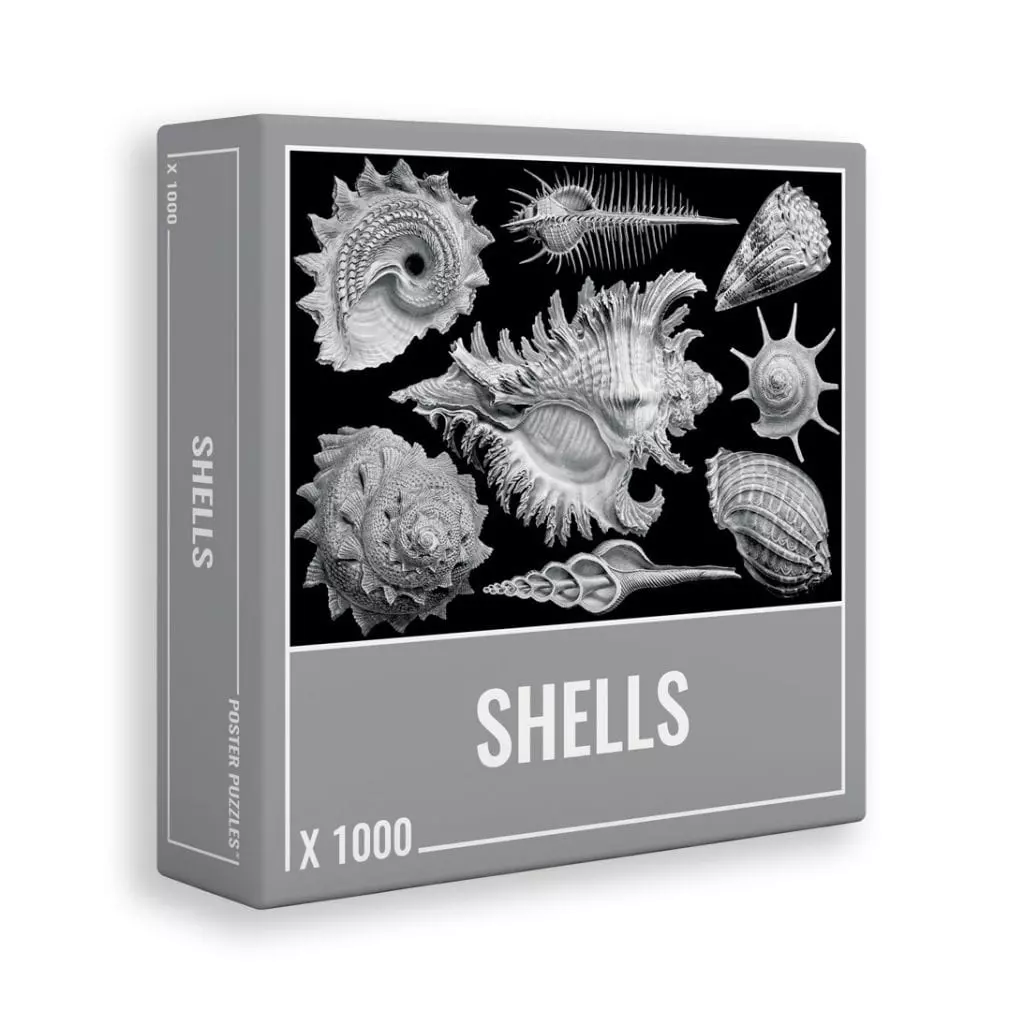 680-shell-1000-piece-jigsaw-cloudberries--1.webp Shell 1000 Piece Jigsaw (Cloudberries)
