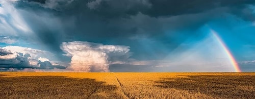 769-ravensburger-mysterious-rainbow-1000-piece-jigsaw-2.jpg Ravensburger - Mysterious Rainbow 1000 Piece Jigsaw