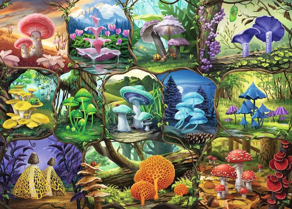 886-ravensburger-beautiful-mushrooms-1000-piece-jigsaw-2.jpg Ravensburger - Beautiful Mushrooms 1000 Piece Jigsaw